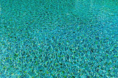 一名落选应聘者：任天堂招聘考试地狱级 根本不需要筛选学历